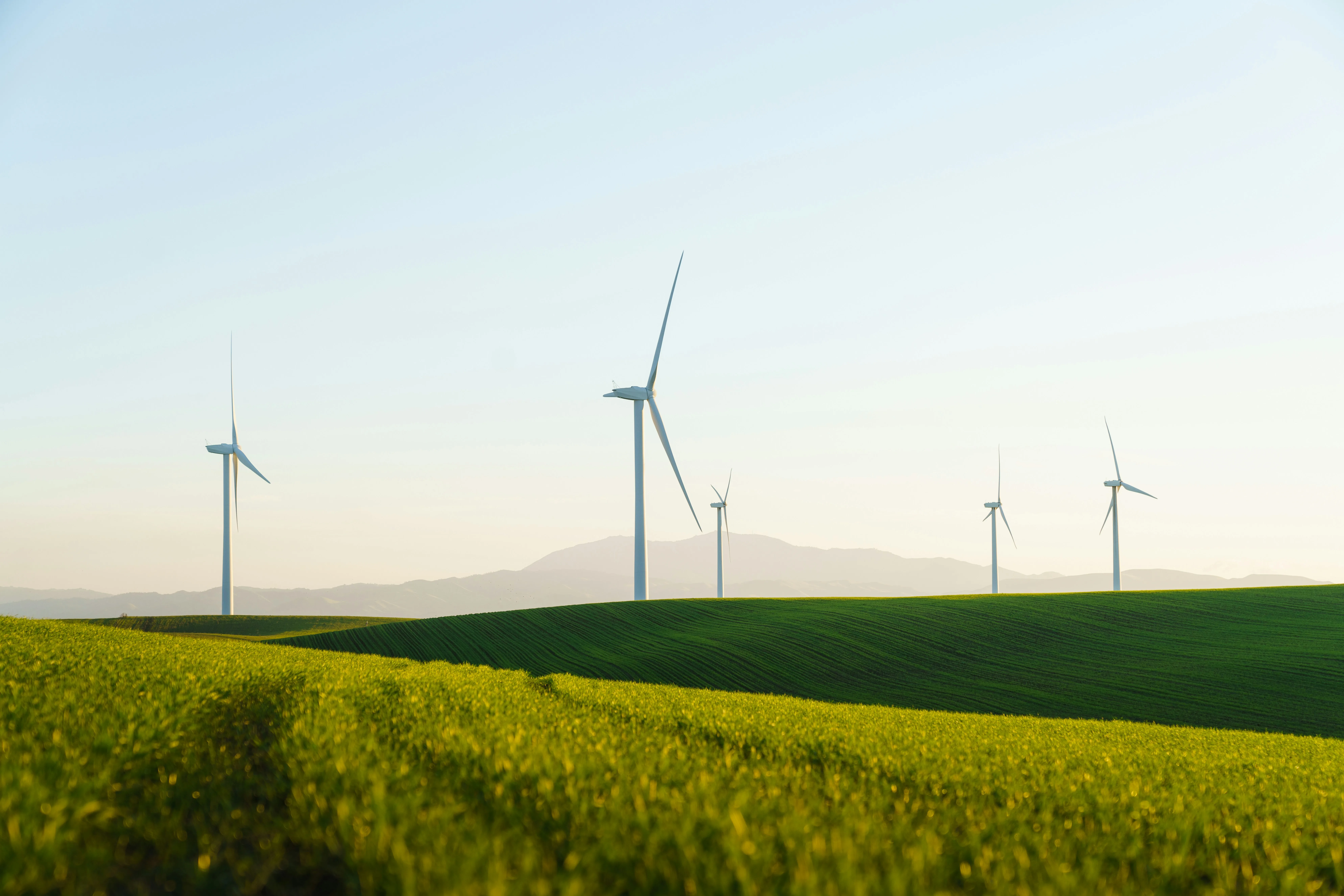 Sustainability